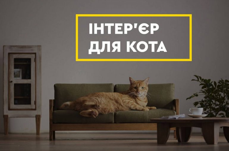Інтер’єр для кота